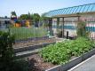Teaching About Food To School Children